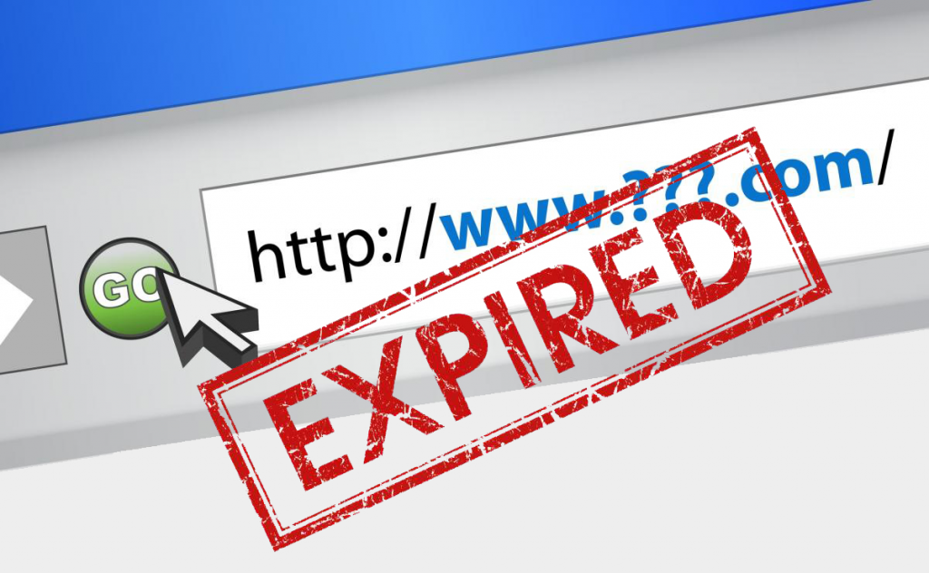 Buy Expired Domains - Premium Expired Domain List - LinksDrip